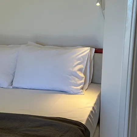 Papanestoras * カルダミリ