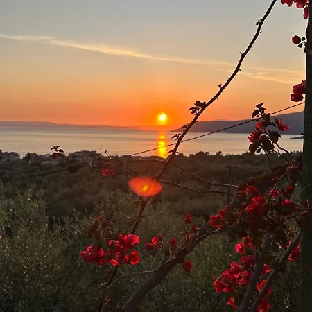 Apartment Papanestoras Kardamyli