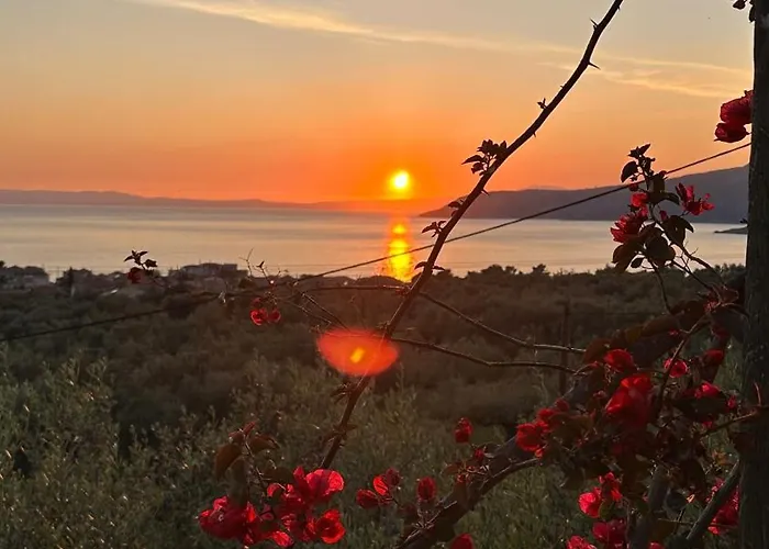 Apartment Papanestoras Kardamyli