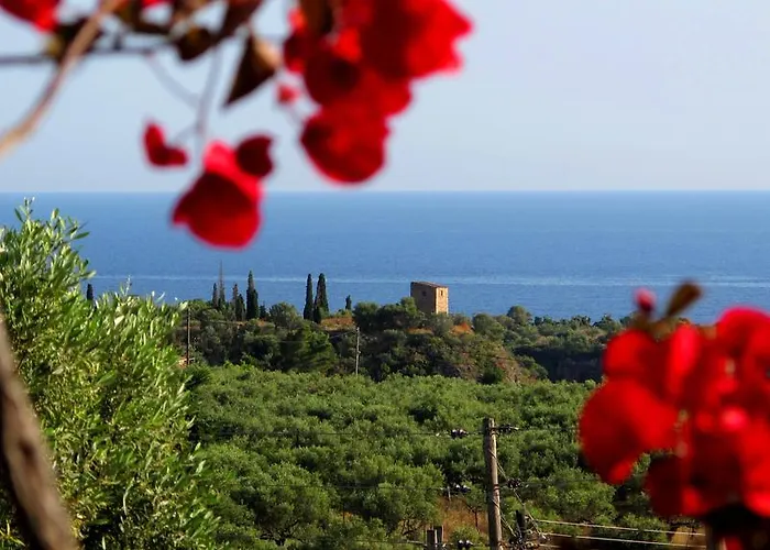 Papanestoras Kardamyli